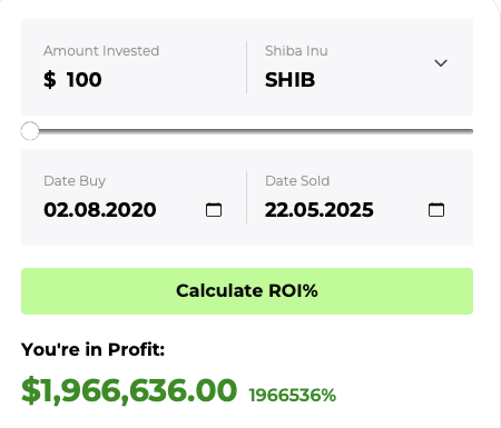 Shiba Inu ROI